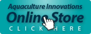 Onlinestorebanner