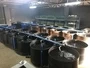 Catfish Tilapia Hatchery Catfish Tilapia Hatchery