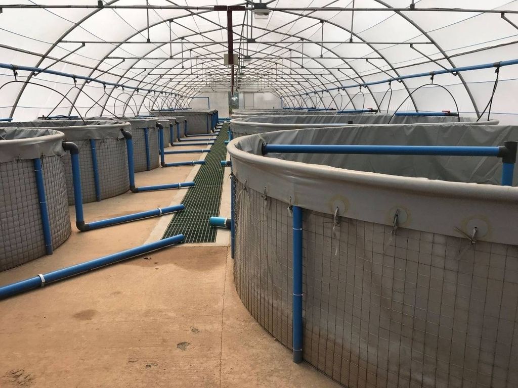 Mesh tank 3.0m diameter Products Shop Online Aquaculture Innovations