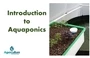 Intro To Aquaponics
