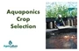 Crop Selection