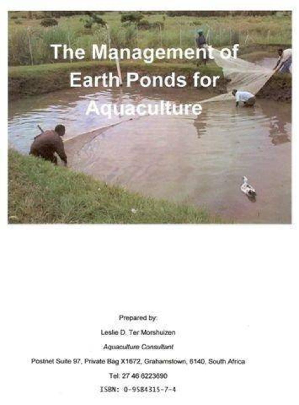 Farm raised fish picture