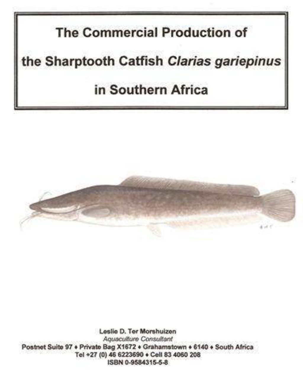 Study of fish picture