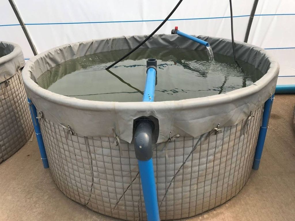 Mesh tank 1.85m diameter Products Shop Online Aquaculture Innovations